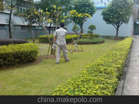 南寧第45屆體操世界錦標(biāo)賽主賽場、訓(xùn)練場病媒生物防制工作