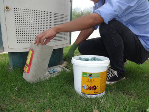 白蟻防治方法有哪些？